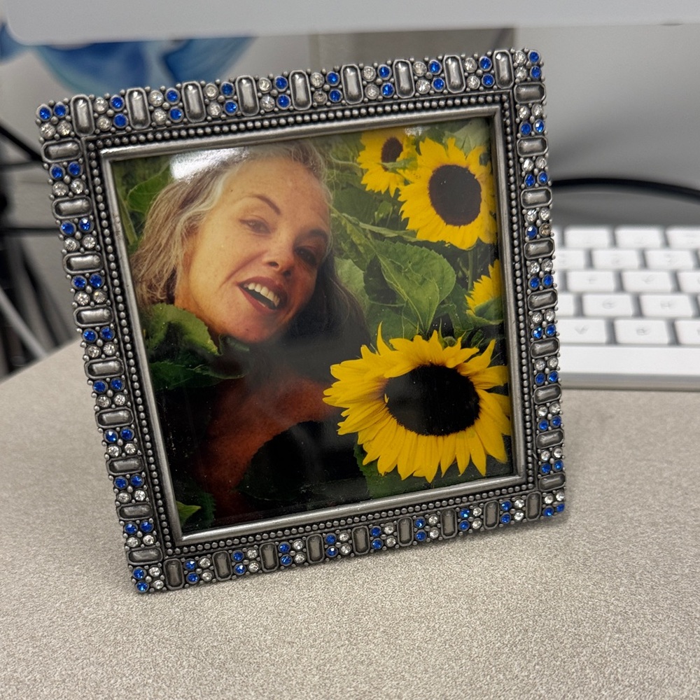 Decorative Silver and Blue Gem Photo Frame